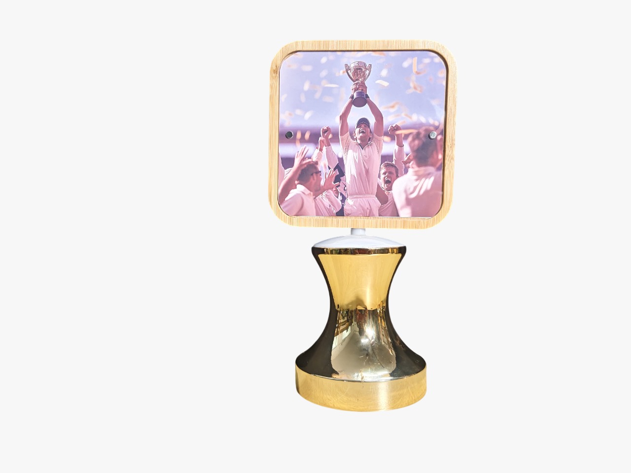 Imported Rotating Lamp