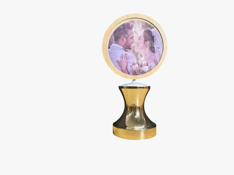 Imported Rotating Lamp